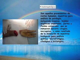 Son aquellos provenientes de
restos humanos, muestras para
análisis de patología,
incluyendo biopsias, tejidos
orgánicos amputados, partes y
fluidos corporales, que se
remueven durante cirugías,
necropsias, o como resultado
de la obtención de muestras
biológicas para análisis
químico, microbiológico,
citológico o histológico.
 