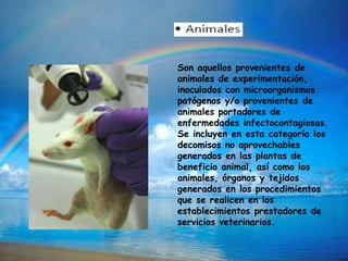Son aquellos provenientes de
animales de experimentación,
inoculados con microorganismos
patógenos y/o provenientes de
animales portadores de
enfermedades infectocontagiosas.
Se incluyen en esta categoría los
decomisos no aprovechables
generados en las plantas de
beneficio animal, así como los
animales, órganos y tejidos
generados en los procedimientos
que se realicen en los
establecimientos prestadores de
servicios veterinarios.
 
