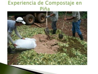 Manejo de residuos orgánicos en piña | PPTX