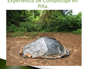 Manejo de residuos orgánicos en piña | PPTX