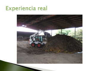 Manejo de residuos orgánicos en piña | PPTX