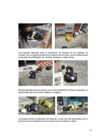 Las canecas utilizadas para la recolección de basuras en los hogares, no
cuentan con su respectiva tapa en la mayoría de los casos; como consecuencia
se produce la proliferación de vectores, roedores y malos olores.

Muchas familias sacan la basura con mucha antelación al horario estipulado, lo
que permite que los caninos callejeros la rieguen.

Las bolsas donde se depositan las basuras, no son las más adecuadas; por lo
general son las resultantes de las compras que se realizan a diario.

35

 