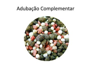 Adubação Complementar
 