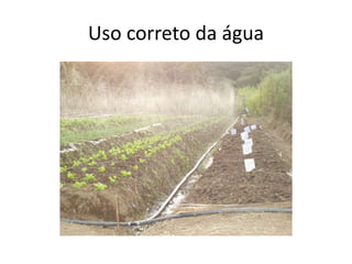 Uso correto da água
 