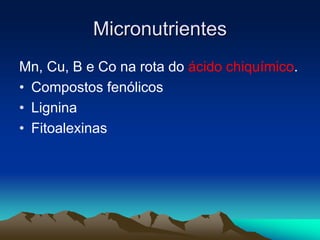 Micronutrientes
Mn, Cu, B e Co na rota do ácido chiquímico.
• Compostos fenólicos
• Lignina
• Fitoalexinas
 