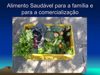 Alimento Saudável para a família e
para a comercialização
 