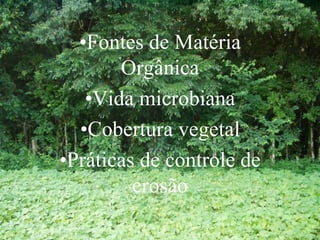 •Fontes de Matéria
Orgânica
•Vida microbiana
•Cobertura vegetal
•Práticas de controle de
erosão
 