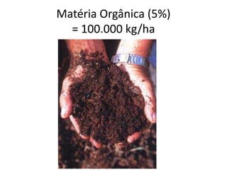 Matéria Orgânica (5%)
= 100.000 kg/ha
 