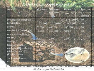 A Biota e sua população por m2
Animal Mínimo Números
máximos
Ótimo Peso em
g
(ótimo)
Protozoários (amebas),
nematóides,
ácaros,
colêmbolos (saltadores)
centopéias, milipés, e
outros
formigas,
larvas de insetos,
minhocas(Oligochetas)
minhocas miúdas
(Enchytraides)
moluscos (lesmas,
caracóis)
-
1.800.000
20.000
10.000
1.200
200
-
600
10.000
20
-
120.000.000
400.00
440.000
2.900
500
-
2.000
200.000
1.000
1.551.000.000
21.000.000
100.000
50.000
2.500
-
-
800
200.000
50
10
40
10
20
23
-
60
400
26
30
 