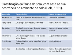 Classificação da fauna do solo, com base na sua
ocorrência no ambiente do solo (Hole, 1981).
Categoria Características Fauna Representativa
Permanente Todos os estágios do animal residem no
solo
Symphyla, Diplopoda
Temporário Um estágio ativo no solo, outro não. Larvas de muitos insetos
Periódicos O animal move-se para dentro e fora do
solo frequentemente
Formas ativas de muitos
insetos
Alternantes Uma ou mais gerações no solo, outros
acima do solo
Alguns afídeos e vespas
Transientes Estágios inativos (ovos, pupas) no solo e
ativos não.
Muitos insetos
Acidentes O animal cai ou é carregado pela chuva Larvas de insetos que vivem
na copa das árvores.
 