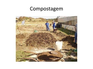 Compostagem
 