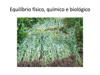 Equilíbrio físico, químico e biológico
 