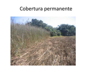 Cobertura permanente
 