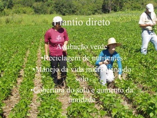 Adubação verde
•Reciclagem de nutrientes
•Manejo da vida microbiana do
solo
•Cobertura do solo e aumento da
umidade
Plantio direto
 