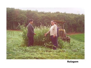 Rolagem
 