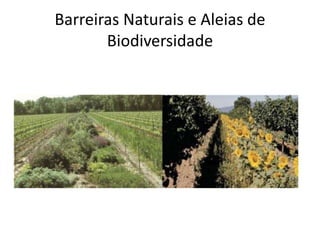 Barreiras Naturais e Aleias de
Biodiversidade
 