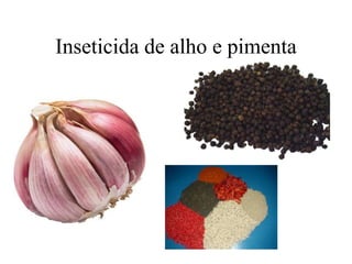 Inseticida de alho e pimenta
 