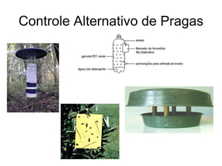 Controle Alternativo de Pragas
 