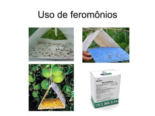 Uso de feromônios
 