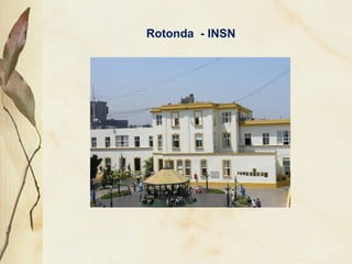 Rotonda - INSN
 