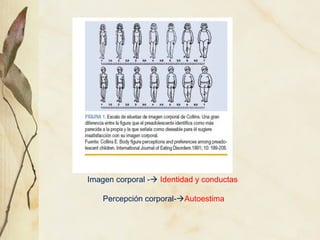 Imagen corporal - Identidad y conductas

    Percepción corporal-Autoestima
 