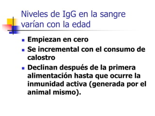 Niveles de IgG en la sangre
varían con la edad
 Empiezan en cero
 Se incremental con el consumo de
calostro
 Declinan después de la primera
alimentación hasta que ocurre la
inmunidad activa (generada por el
animal mismo).
 