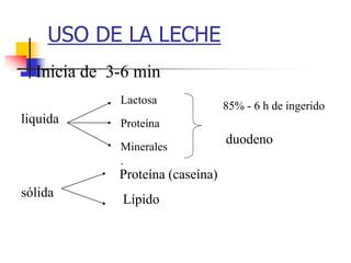 USO DE LA LECHE
Inicia de 3-6 min
liquida
sólida
Lactosa
Proteína
Minerales
.
85% - 6 h de ingerido
duodeno
Proteína (caseína)
Lípido
 