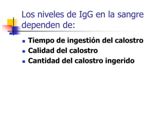 Los niveles de IgG en la sangre
dependen de:
 Tiempo de ingestión del calostro
 Calidad del calostro
 Cantidad del calostro ingerido
 