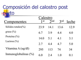 Composición del calostro post
parto
Componentes 1st 2nd 3rd leche
Calostro
Sólidos totales(%)
grasa (%)
Proteína (%)
Lactosa (%)
23.9
6.7
14.0
2.7
295
6.0
14.1
3.9
5.1
4.4
113
2.4
13.6
4.4
4.1
4.7
74
1.0
12.9
4.0
3.1
5.0
34
0.1
Vitamina A (ug/dl)
Inmunoglobulinas (%)
 