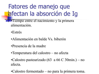 Fatores de manejo que
afectan la absorción de Ig
•Tiempo entre el nacimiento y la primera
alimentación.
•Estrés
•Alimentación en balde Vs. biberón
•Presencia de la madre
•Temperatura del calostro – no afecta
•Calostro pasteurizado (63 a 66 C 30min.) – no
afecta.
•Calostro fermentado – no para la primera toma.
 