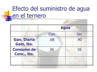 Efecto del suministro de agua
en el ternero
Agua
Con Sin
Gan. Diaria
Gain, lbs.
.68 .40
Consumo de
Conc., lbs.
26 18
 