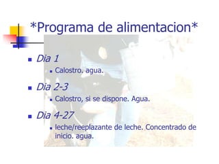 *Programa de alimentacion*
 Dia 1
 Calostro. agua.
 Dia 2-3
 Calostro, si se dispone. Agua.
 Dia 4-27
 leche/reeplazante de leche. Concentrado de
inicio. agua.
 