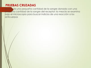 PRUEBAS CRUZADAS
Se mezcla una pequeña cantidad de la sangre donada con una
pequeña cantidad de la sangre del receptor; la mezcla se examina
bajo el microscopio para buscar indicios de una reacción a los
anticuerpos
 