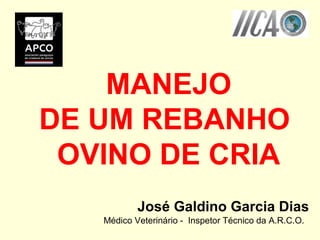 MANEJO
DE UM REBANHO
OVINO DE CRIA
José Galdino Garcia Dias
Médico Veterinário - Inspetor Técnico da A.R.C.O.
 
