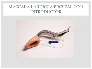 MASCARA LARINGEA PROSEAL CON
INTRODUCTOR
 
