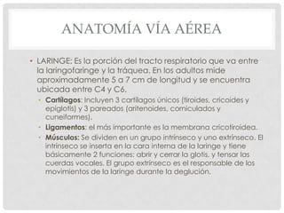 ANATOMÍA VÍA AÉREA
• LARINGE: Es la porción del tracto respiratorio que va entre
la laringofaringe y la tráquea. En los adultos mide
aproximadamente 5 a 7 cm de longitud y se encuentra
ubicada entre C4 y C6.
• Cartílagos: Incluyen 3 cartílagos únicos (tiroides, cricoides y
epiglotis) y 3 pareados (aritenoides, corniculados y
cuneiformes).
• Ligamentos: el más importante es la membrana cricotiroidea.
• Músculos: Se dividen en un grupo intrínseco y uno extrínseco. El
intrínseco se inserta en la cara interna de la laringe y tiene
básicamente 2 funciones: abrir y cerrar la glotis, y tensar las
cuerdas vocales. El grupo extrínseco es el responsable de los
movimientos de la laringe durante la deglución.
 