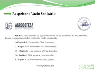 Respeitar o Vazio Sanitário
Fonte: Agrodefesa, 2018.
 