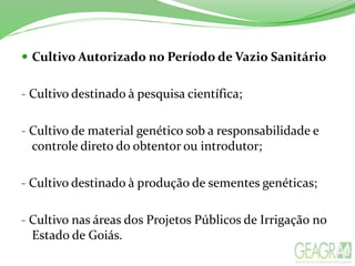  Cultivo Autorizado no Período de Vazio Sanitário
- Cultivo destinado à pesquisa científica;
- Cultivo de material genético sob a responsabilidade e
controle direto do obtentor ou introdutor;
- Cultivo destinado à produção de sementes genéticas;
- Cultivo nas áreas dos Projetos Públicos de Irrigação no
Estado de Goiás.
 