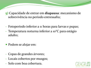 5) Capacidade de entrar em diapausa: mecanismo de
sobrevivência no período entressafra;
- Fotoperíodo inferior a 11 horas para larvas e pupas;
- Temperatura noturna inferior a 10°C para estágio
adulto;
 Podem se alojar em:
- Copas de grandes árvores;
- Locais cobertos por musgos;
- Solo com boa cobertura.
 