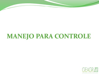 MANEJO PARA CONTROLE
 