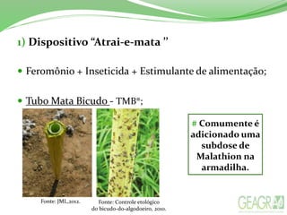 1) Dispositivo “Atrai-e-mata ’’
 Feromônio + Inseticida + Estimulante de alimentação;
 Tubo Mata Bicudo - TMB®;
Fonte: JML,2012. Fonte: Controle etológico
do bicudo-do-algodoeiro, 2010.
# Comumente é
adicionado uma
subdose de
Malathion na
armadilha.
 