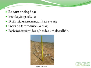 # Recomendações:
 Instalação: 30 d.a.s;
 Distância entre armadilhas: 150 m;
 Troca de feromônio: 60 dias;
 Posição: extremidade/bordadura do talhão.
Fonte: JML,2012.
 