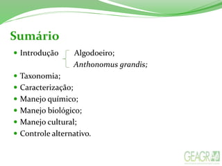 Sumário
 Introdução Algodoeiro;
Anthonomus grandis;
 Taxonomia;
 Caracterização;
 Manejo químico;
 Manejo biológico;
 Manejo cultural;
 Controle alternativo.
 