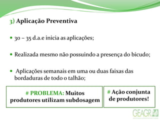3) Aplicação Preventiva
 30 – 35 d.a.e inicia as aplicações;
 Realizada mesmo não possuindo a presença do bicudo;
 Aplicações semanais em uma ou duas faixas das
bordaduras de todo o talhão;
# Ação conjunta
de produtores!
# PROBLEMA: Muitos
produtores utilizam subdosagem
 