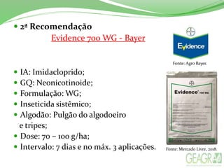  2ª Recomendação
Evidence 700 WG - Bayer
 IA: Imidacloprido;
 GQ: Neonicotinoide;
 Formulação: WG;
 Inseticida sistêmico;
 Algodão: Pulgão do algodoeiro
e tripes;
 Dose: 70 – 100 g/ha;
 Intervalo: 7 dias e no máx. 3 aplicações.
Fonte: Agro Bayer.
Fonte: Mercado Livre, 2018.
 