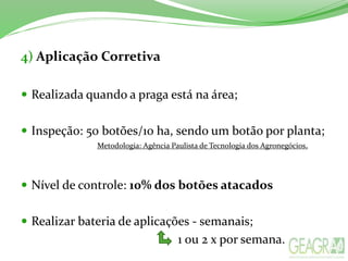 4) Aplicação Corretiva
 Realizada quando a praga está na área;
 Inspeção: 50 botões/10 ha, sendo um botão por planta;
 Nível de controle: 10% dos botões atacados
 Realizar bateria de aplicações - semanais;
1 ou 2 x por semana.
Metodologia: Agência Paulista de Tecnologia dos Agronegócios.
 