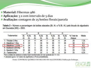 # Material: Fibermax 986
# Aplicação: 3 x com intervalo de 5 dias
# Avaliação: contagem de 25 botões florais/parcela
Fonte: CONTROLE QUÍMICO DO BICUDO DO ALGODOEIRO, Publicação Embrapa.
 