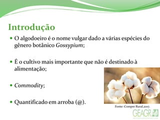 Introdução
 O algodoeiro é o nome vulgar dado a várias espécies do
gênero botânico Gossypium;
 É o cultivo mais importante que não é destinado à
alimentação;
 Commodity;
 Quantificado em arroba (@).
Fonte: Compre Rural,2017.
 