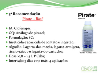  3ª Recomendação
Pirate – Basf
 IA: Clofenapir;
 GQ: Análogo de pirazol;
 Formulação: SC;
 Inseticida e acaricida de contato e ingestão;
 Algodão: Lagarta-das-maçãs, lagarta-armigera,
ácaro-rajado e lagarta-do-cartucho;
 Dose: 0,8 – 1,5 L P.C/ha;
 Intervalo: 5 dias e no máx. 4 aplicações.
Fonte: Plantec, 2018.
 