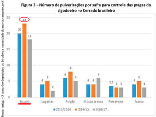 onte:Artigo-Otamanhodoprejuízodobicudoeanecessidadedomonitoramento,2018.
 